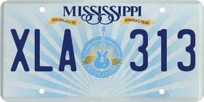 MS license plate XLA313