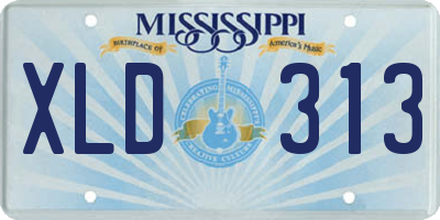 MS license plate XLD313