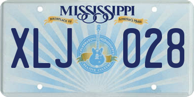 MS license plate XLJ028