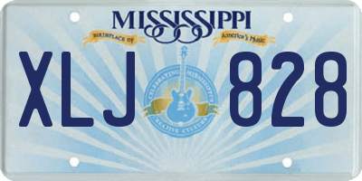MS license plate XLJ828