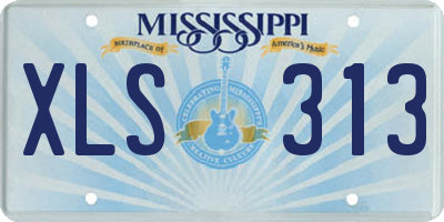 MS license plate XLS313