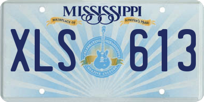 MS license plate XLS613