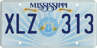 MS license plate XLZ313
