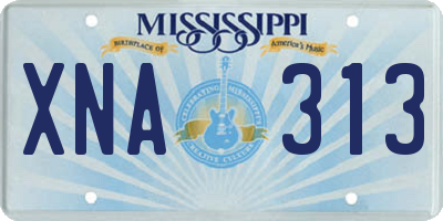 MS license plate XNA313