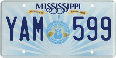 MS license plate YAM599