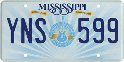MS license plate YNS599