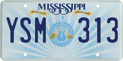 MS license plate YSM313