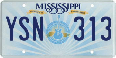 MS license plate YSN313