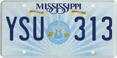 MS license plate YSU313