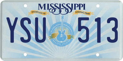MS license plate YSU513