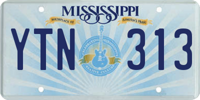 MS license plate YTN313