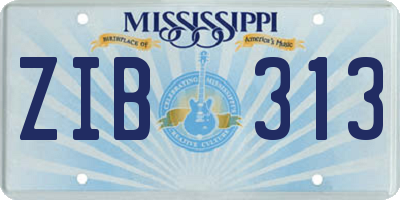 MS license plate ZIB313