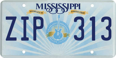 MS license plate ZIP313