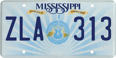 MS license plate ZLA313