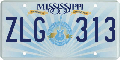 MS license plate ZLG313