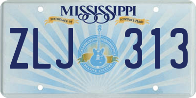 MS license plate ZLJ313