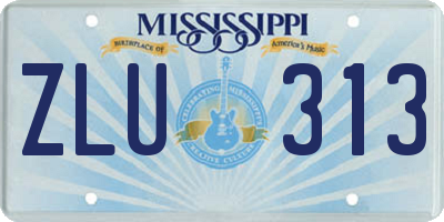 MS license plate ZLU313
