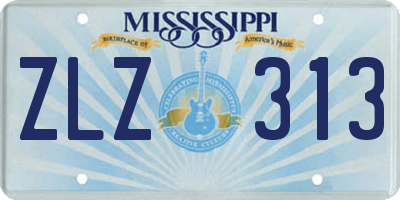 MS license plate ZLZ313