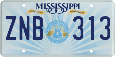 MS license plate ZNB313