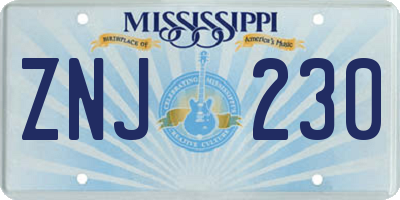 MS license plate ZNJ230