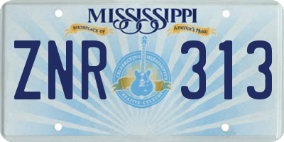 MS license plate ZNR313