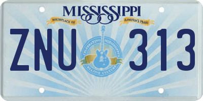 MS license plate ZNU313