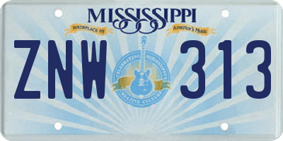 MS license plate ZNW313