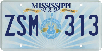 MS license plate ZSM313