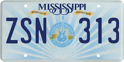 MS license plate ZSN313