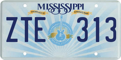 MS license plate ZTE313