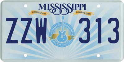 MS license plate ZZW313