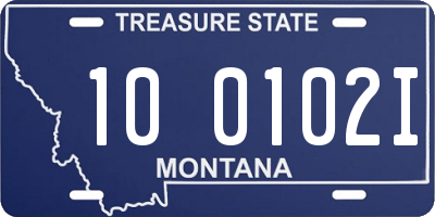 MT license plate 100102I