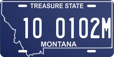 MT license plate 100102M