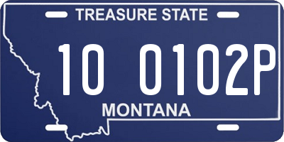 MT license plate 100102P