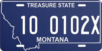 MT license plate 100102X