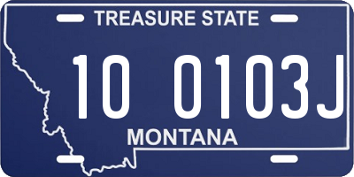 MT license plate 100103J