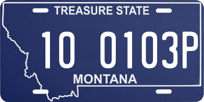 MT license plate 100103P