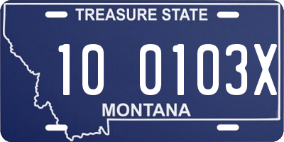 MT license plate 100103X