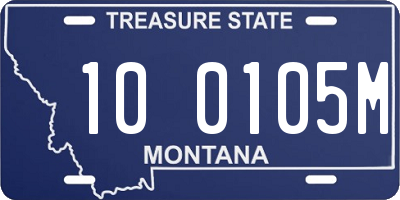 MT license plate 100105M