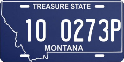 MT license plate 100273P