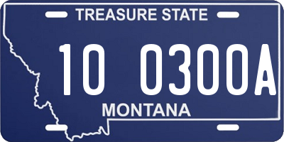 MT license plate 100300A