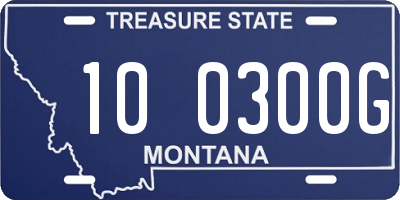 MT license plate 100300G