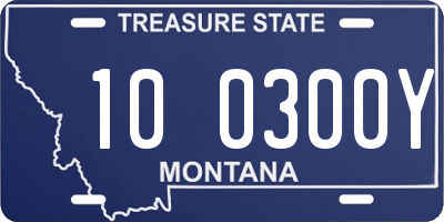 MT license plate 100300Y