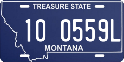 MT license plate 100559L