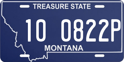 MT license plate 100822P