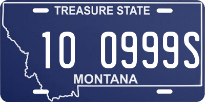 MT license plate 100999S