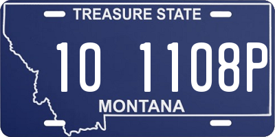 MT license plate 101108P