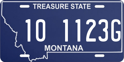 MT license plate 101123G