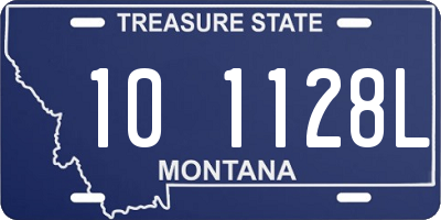 MT license plate 101128L