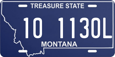 MT license plate 101130L